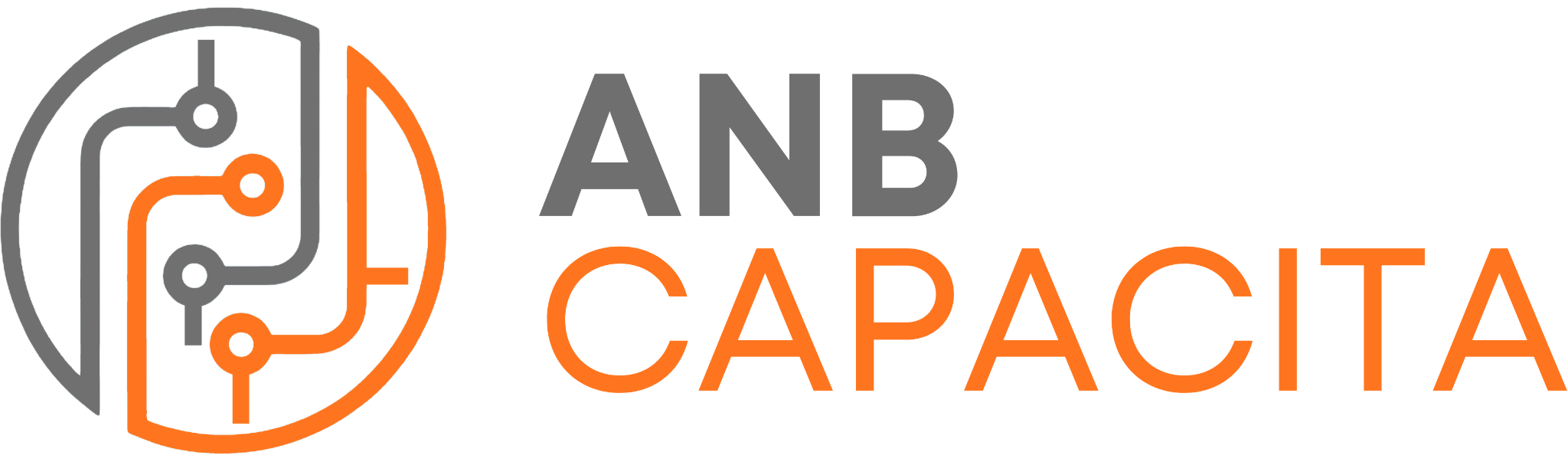 ANB Capacita logo